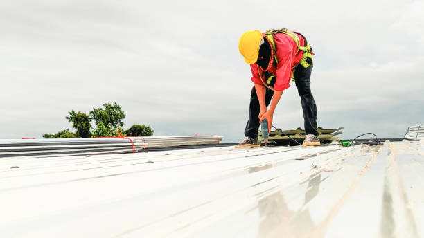 Best Roof Moss and Algae Removal  in Hemet, CA